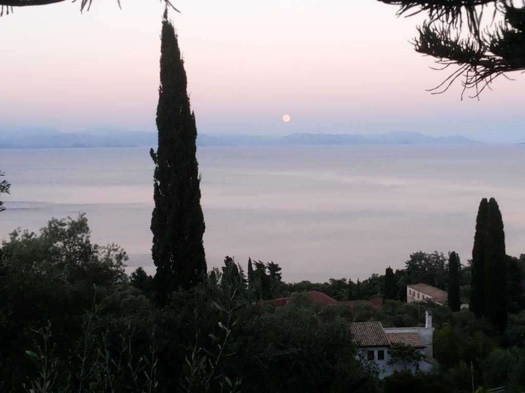 Villa Emily Achílleion Oda fotoğraf
